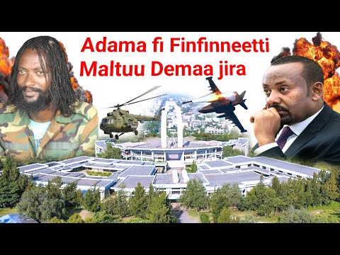 ODUU Ammee Finfinnee Fi Adaman Harka Jaal Marroo Fi Abiyin Rafamaa Jirti Moha Oromo