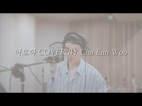 繁中字 COVER 車銀優 Cha Eun Woo Aloha