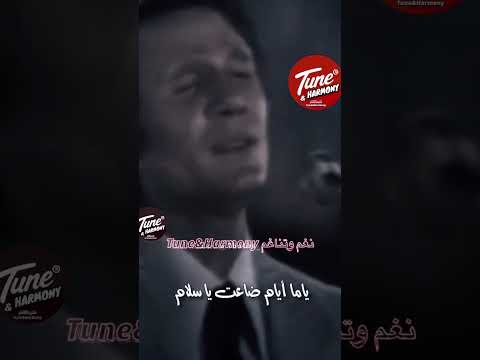 ياما أيام ضاعت يا سلام حاول تفتكرني عبد الحليم حافظ نغم وتناغم ياما أيام ضاعت يا سلام حاول تفتكرني عبد الحليم حافظ نغم وتناغم