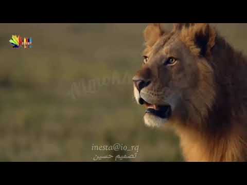 حالات واتس احمد سعد بركان غضب مسلسل البرنس