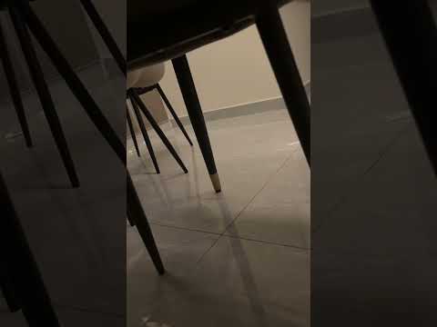 شذا الفندق يطلع اصوات حائل