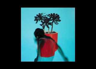 Local Natives Dark Days