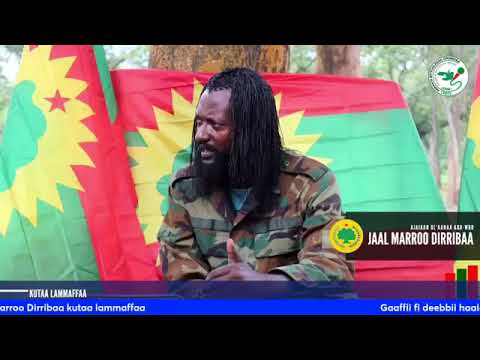 Hassawa Ajjajja Ol Anna Jaal Marroo Dirribaa Gaaffi Fi Debbii Haala Yeroo Ajajaa ABO WBO Jaal Marroo