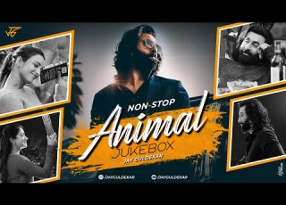  ANIMAL Mashup Nonstop Jukebox Jay Guldekar Satranga Pehle Bhi Mein