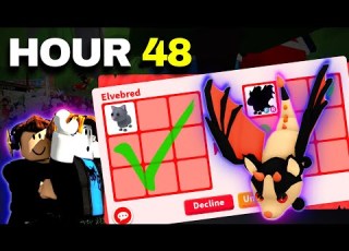  48 Hours Cat To Bat New Account Adopt Me