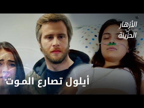 توقف قلب أيلول عن النبض الحلقة 225 الأزهار الحزينة