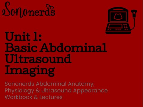 Basic Abdominal Ultrasound Imaging Unit 1 Normal Abdomen Ultrasound With Sononerds Basic Abdominal Ultrasound Imaging Unit 1 Normal Abdomen Ultrasound With Sononerds
