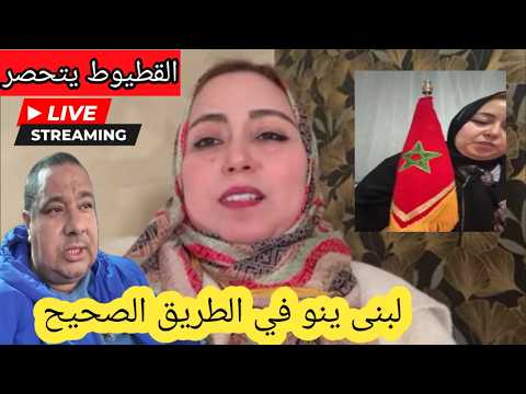 جريو جريو لبنى ماشي حيط قصير