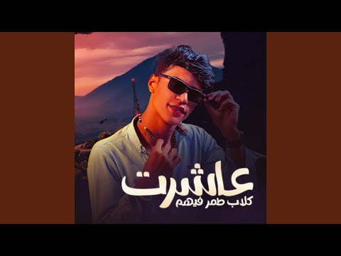 عاشرت كلاب طمر فيهم