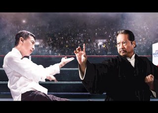 Sammo Hung Vs Donnie Yen Karate Vs Wing Chun