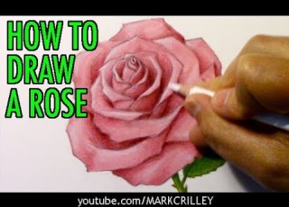 How To Draw A Rose And Add Color
