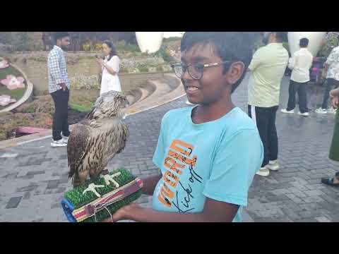 At Dubai Miracle Garden March 2026