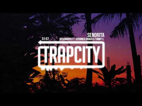 Shawn Mendes Camila Cabello Señorita Besomorph Ft Veronica Bravo Timmy Commerford Remix