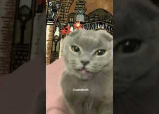  الأخت ميني هي إبليس مجنونة