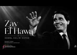 Zay El Hawa زي الهوى Abdel Halim Hafez نسخه طربيه حديثه