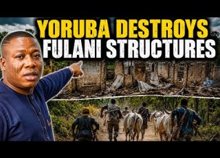 BREAKING FULANI HERDERS ON THE RUN AS YORUBA DEMOLISH STRUCTURE IN THE FOREST TINUBU BAN OPEN GRAZ