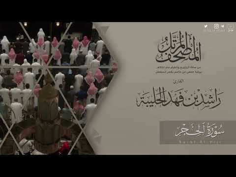 المصحف المرتل ١٤٤٥هـ سورة الحجر للقارئ راشد الحليبة Surat Al Hijr