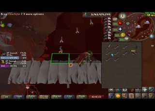 One Hour Of Leechfin Fishing 136k Fishing 24k Cooking 392 Blood Sacs