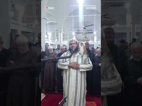 Cat Climbs Sheikh During Ramadan Prayer Cat Climbs Sheikh During Ramadan Prayer