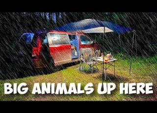  Solo Car Camping With Rain I Got Scared Van Life