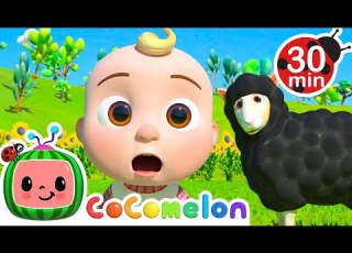  Baa Baa Black Sheep Best Of Farm Animals MORE CoComelon Nursery Rhymes