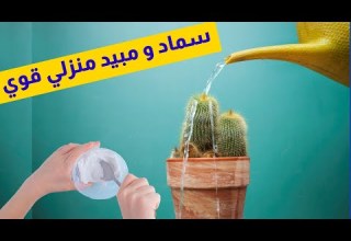 أنقذ نباتاتك ب ملح الليمون و تفادى مشاكل التربة القاعدية و ملوحة الماء و أمراض النبات حمض الستريك