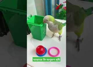  Tiya Pakhi Shorts Abusaleh