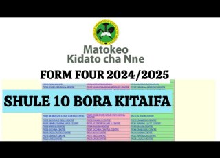 MATOKEO YA FORM FOUR 2024 205 SHULE 10 BORA KITAIFA