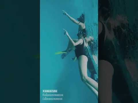 Katrina Kaif Underwater Adventure In Maldives Katrinakaif Bollywood Trending