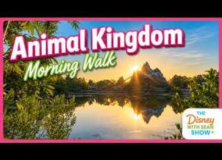 Animal Kingdom Morning Walk At Disney World Pandora Wildlife Disney Magic Day 336
