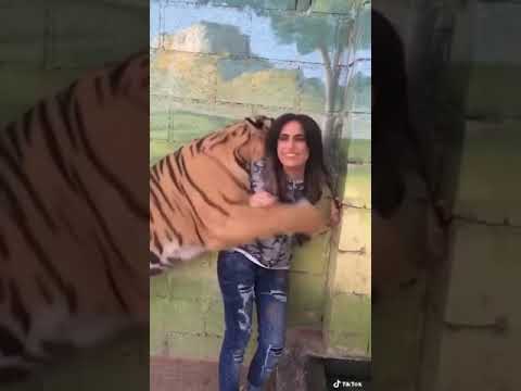 المنثل أمل محمد مع النمر وهو يحتضنها