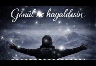 Gönül Ne Hayaldesin Aİ