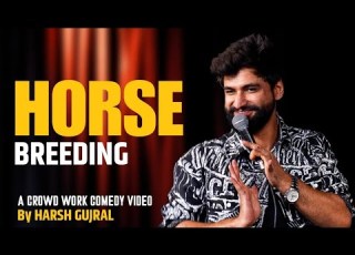  Horse Breeding