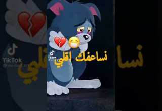 نسااعفك يا قلبي رحتي وخليتيني