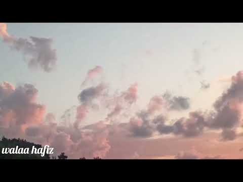 واسع الكرم يوسف الأيوب حالات واتس تصويري