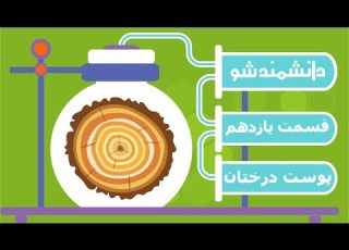  برنامه دانشمند شو پوست درختانن