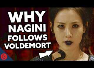 How Voldemort FOUND Nagini Harry Potter Film Theory