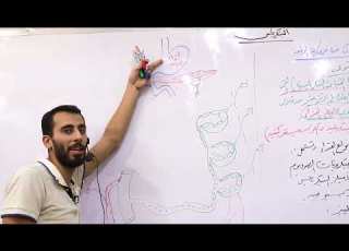 البنكرياس احياء الصف الثالث الثانوي