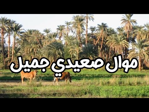 السبع هيفضل سبع مهما مال عليه الزمن