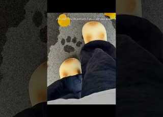  I M Obsessed With These Slippers They Leave Cute Paw Prints When I Walk Catpaws Cute Gift