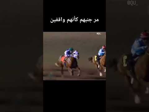 خيل خيل عربيه اصيله خيل عربيه فرس فرسان خيالة حصان حصان عربي اصيل Horse Horseracing مصر خيل خيل عربيه اصيله خيل عربيه فرس فرسان خيالة حصان حصان عربي اصيل Horse Horseracing مصر