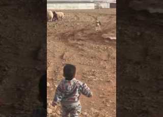  مقاطع مطرفة