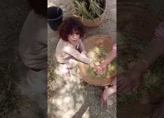  ناس دشحال هدي كنة عيش غير بل فريك د القماح هاشتاج ابلور تيك توك البدارين اولادك الطحان
