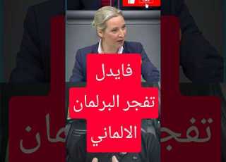  البوندستاغ يشتعل فايدل تفتح النار على الخضر