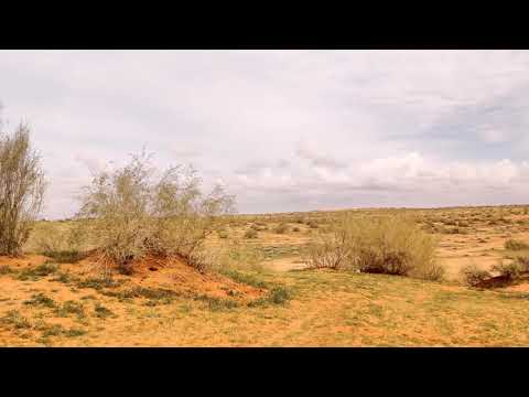 الا ليت شعري هل ابيتن ليلة