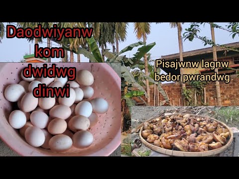 Daodwiyanw Kom Dwidwg Dinwi Pisajwnw Lagnw Bedor Pwrandwg Hanna Moshahary