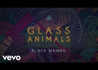Glass Animals Black Mambo Official Lyric Video