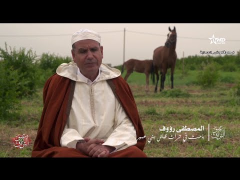 الوثائقي عبق التراث من منطقة أولادعبدالله بإقليم الفقيه بن صالح يواكب ميلاد مهر الجدع الوثائقي عبق التراث من منطقة أولادعبدالله بإقليم الفقيه بن صالح يواكب ميلاد مهر الجدع