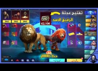 تفتيح عجلة الرفيق الجديد الاسد تفتيح بكج الاسد الاسد الرفيق ببجي الرفيق الاسد في ببجي 600 شدة مجانا