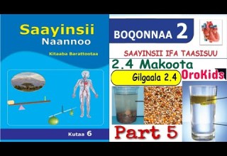 Saayinsii Naannoo Kutaa 6ffaa Boqonnaa 2 Part 5
